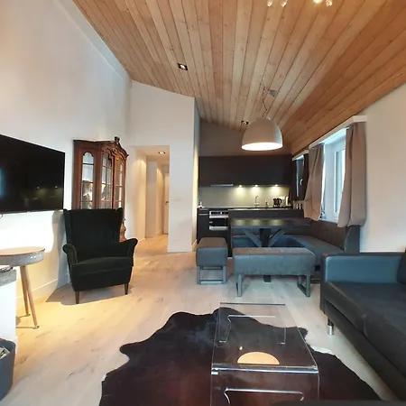 Amici 17 *